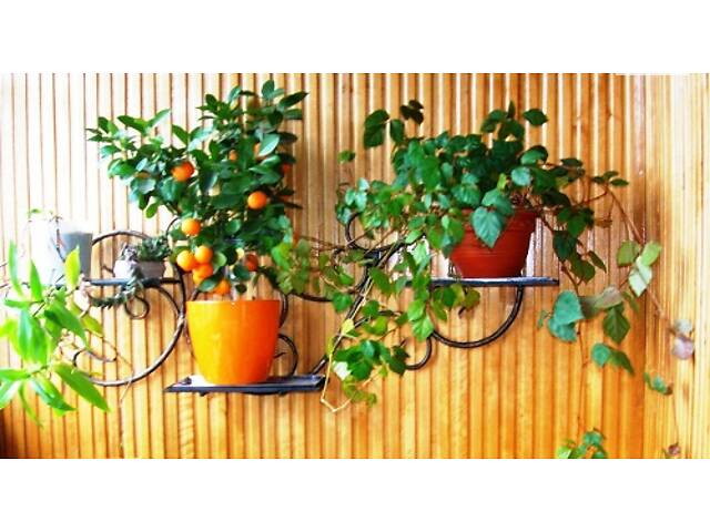 подставка для цветов настенная - Фото 3