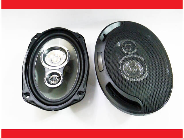 Pioneer 6942 (1000 Вт) двосмугові - Фото 1