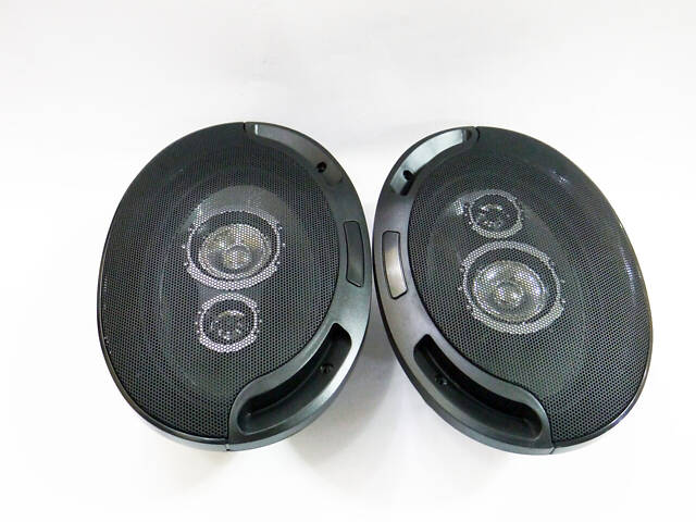 Pioneer 6942 (1000 Вт) двосмугові - Фото 3