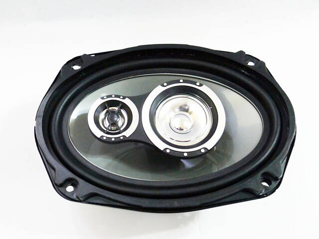 Pioneer 6942 (1000 Вт) двосмугові - Фото 5