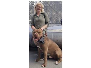 Пітбуль XXL Red Nose