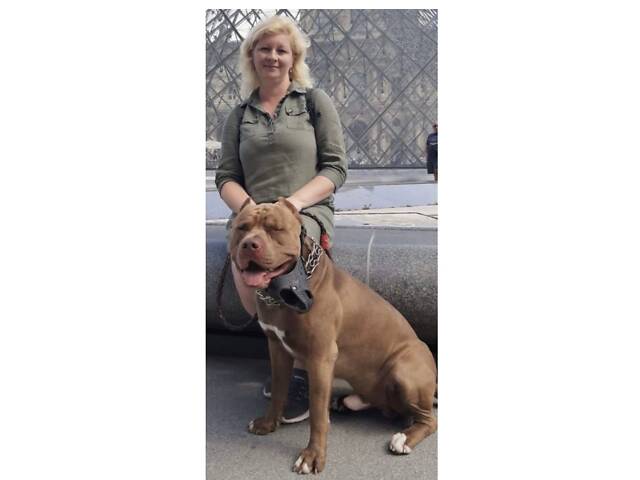 Пітбуль XXL Red Nose - Фото 1