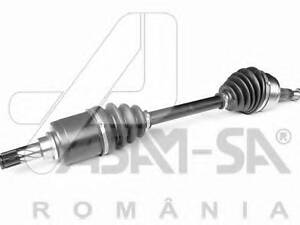 Піввісь DUSTER 4X4 10- Л. ASAM 30971 на DACIA DUSTER