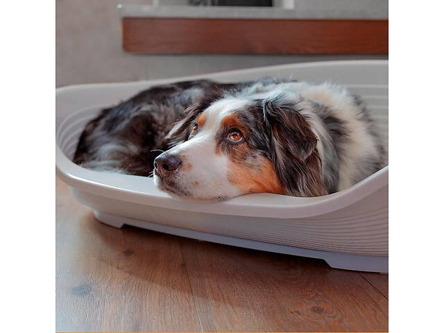 Пластиковый лежак для котов и собак Ferplast Siesta Deluxe (Ферпласт Сиеста Делюкс) 93.5 х 68 х h 28.5 см - SIESTA DELUX - Фото 6