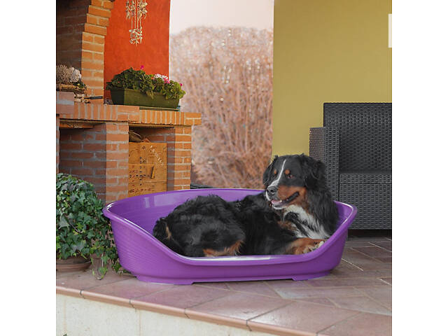 Пластиковый лежак для котов и собак Ferplast Siesta Deluxe (Ферпласт Сиеста Делюкс) 111 х 80.5 х h 33.5 см - SIESTA DELU - Фото 5