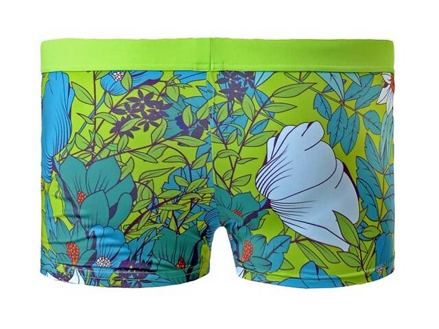 Плавки пляжні Geronimo 1801b1 XL 18012 зелений (3800205842279) - Фото 4