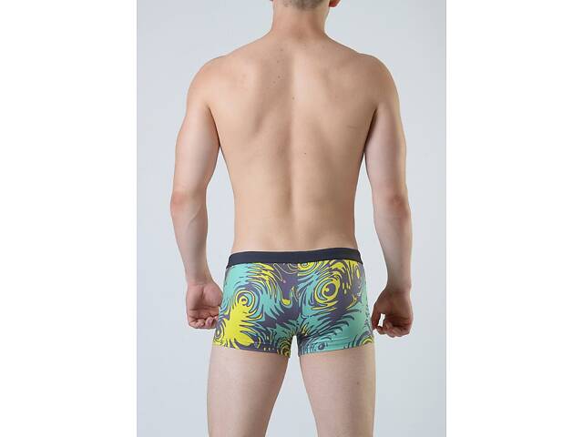 Плавки пляжні Geronimo 1804b1 XXL 18042 різнокольорові (3800205844464) - Фото 3