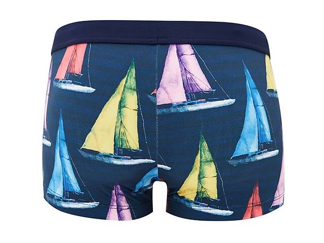 Плавки пляжні Geronimo 1901b1 L 19011 різнокольорові (3800205865490) - Фото 2