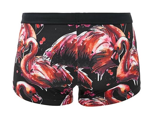 Плавки пляжні Geronimo 1914b1 S 19141 принт фламінго (3800205873785) - Фото 4