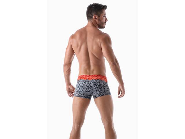 Плавки пляжні Geronimo 2027b1 M 20271 різнокольорові (3800999001074) - Фото 3