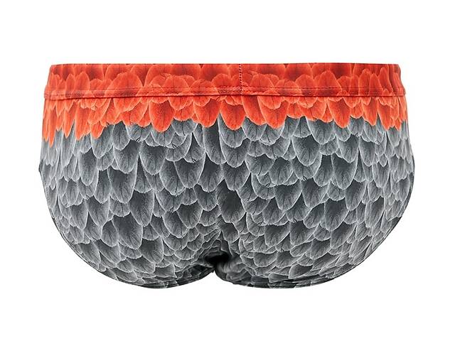 Плавки пляжні Geronimo 2027s2 M 20271 різнокольорові (3800205889922) - Фото 4