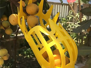 Плодозйомник для збору фруктів (насадка на телескопічну палку або держак)