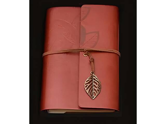 Подарочный набор перьевая ручка с чернильницей RESTEQ — элегантный набор для письма и каллиграфии - Фото 4