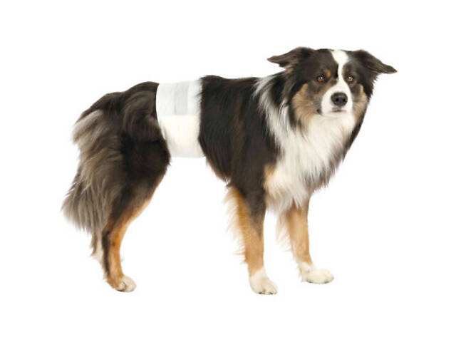 Підгузки для тварин Trixie для собак (кобелів) L-XL 60-80 см 12 шт (4011905236438) - Фото 2