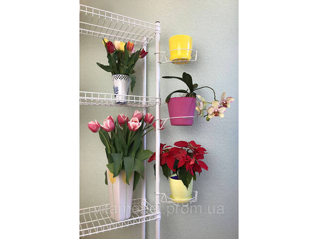 Подставка для цветов и рассады BeStand 'СТЕЛЛАЖ 180 М' с подвижной полкой 60 см * 25 см, высота 180 см, цвет - Фото 5