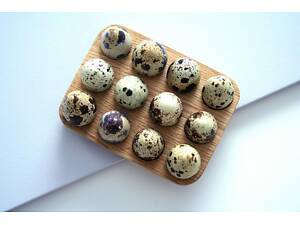 Підставка для яєць 'Легбар' мускат