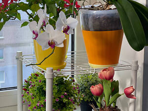 Подставка стеллаж для цветов и рассады BeStand 'КУБ 120 с одной подвижной полкой 40 х 40 см' высота 120 см, 30