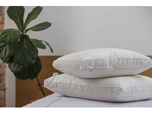 Подушка Ecotton 50х70 см Ecofill Premium антиаллергенная с кантом биопух белая в чехле для хранения White