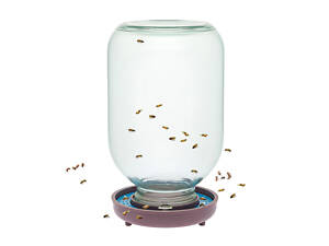 Поїлка для бджіл із сіткою