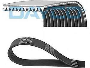 Поліклиновий ремінь DAYCO 12PK1830HD на IVECO EuroTrakker
