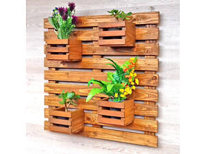 Полиця настінна для квітів 'Крузіс' сієна