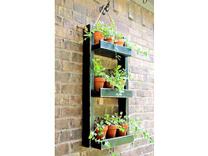 Полиця настінна для квітів 'Серра' венге