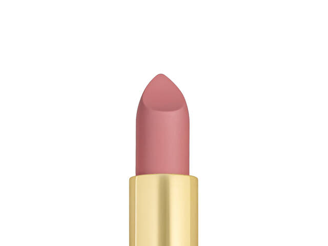 Помада для губ матовая topface PRO HD Soft Matte Lipstick PT158, № 006 - Фото 2