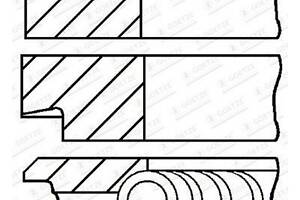 Поршневые кольца 0843850700