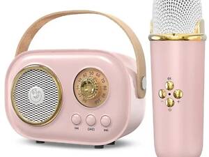 Портативная колонка для караоке Bluetooth с микрофоном на аккумуляторе, акустическая система