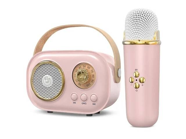 Портативна колонка для караоке Bluetooth з мікрофоном на акумуляторі, акустична система - Фото 1