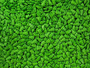 Посипка фігурна зелена “Ялинка”