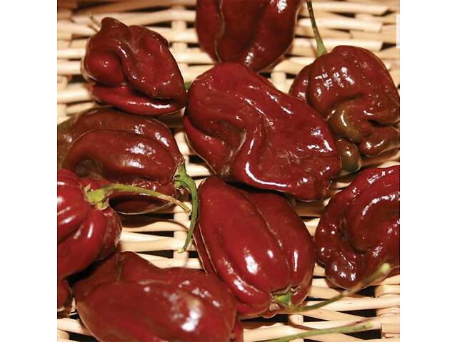 Перец острый хабанеро, семена - Фото 2