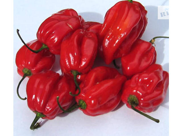 Перец острый хабанеро, семена - Фото 7