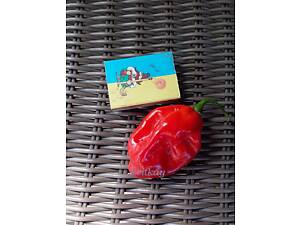 Перець гострий хабанеро, насіння