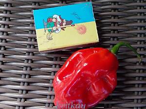 Перец острый хабанеро, семена