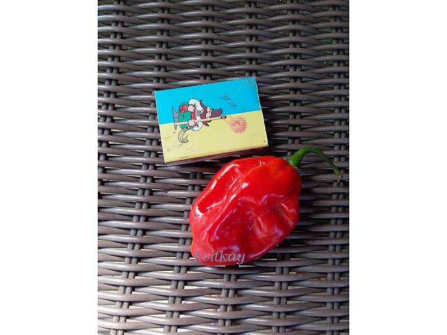 Перец острый хабанеро, семена - Фото 1