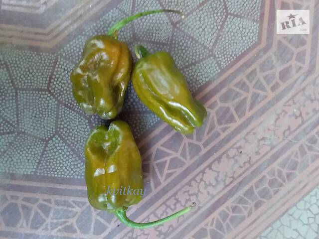 Перец острый хабанеро, семена - Фото 9