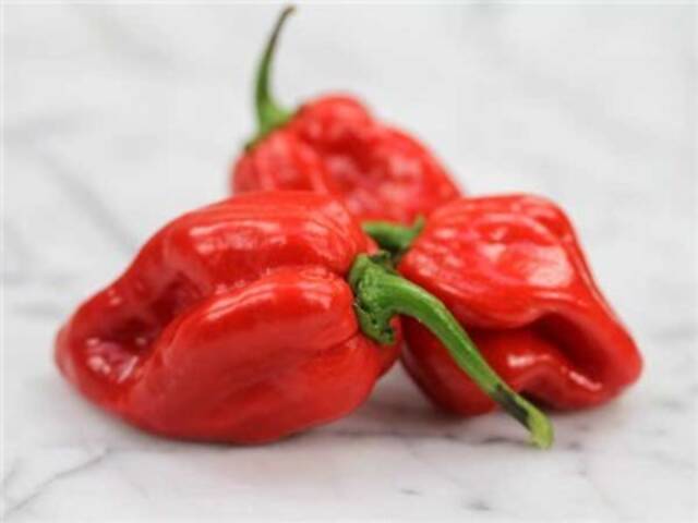 Острый перец Хабанеро, 5 сортов. - Фото 2