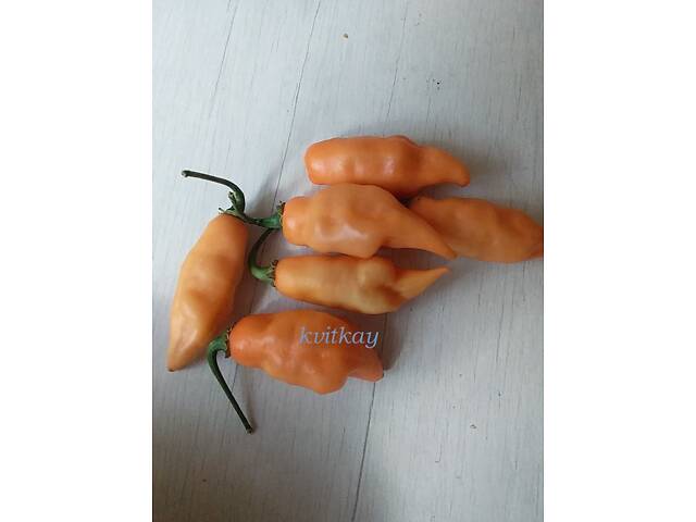 Острый перец Хабанеро, 5 сортов. - Фото 5