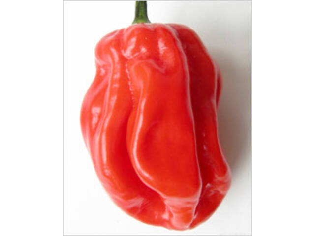 Острый перец Хабанеро, 5 сортов. - Фото 6