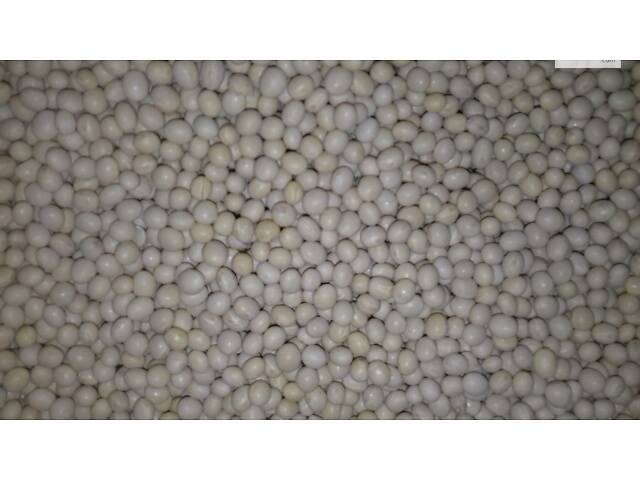 Насіння сої під Раундап ультраранні сорти - Фото 3