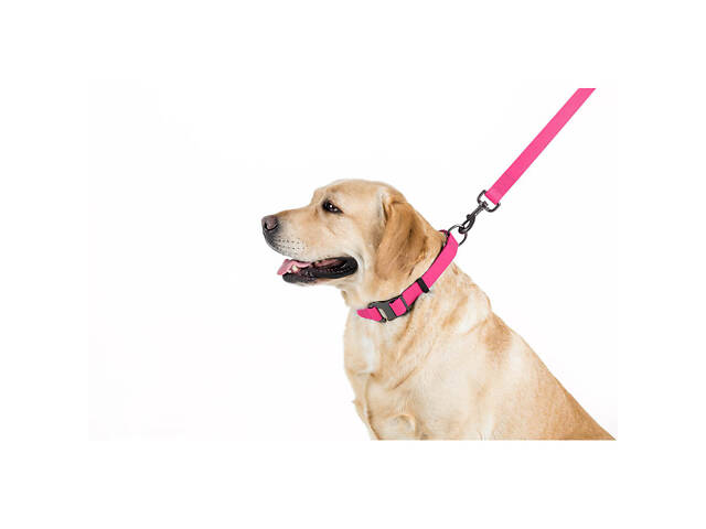 Повідець для собак водостійкий WAUDOG Waterproof, L-XXL, Ш 25 мм, Дов 183 см рожевий - Фото 4