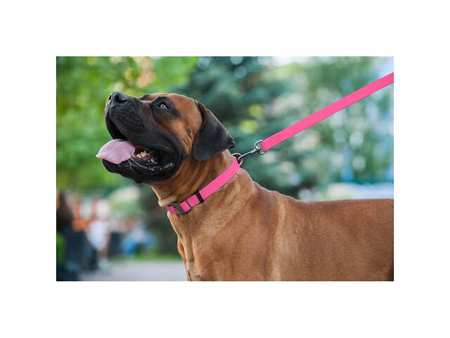 Повідець для собак водостійкий WAUDOG Waterproof, L-XXL, Ш 25 мм, Дов 183 см рожевий - Фото 7