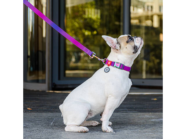 Поводок для собак из нейлона WAUDOG Nylon Recycled, градиент, M, Ш 20 мм, Д 122 см фиолетовый - Фото 3