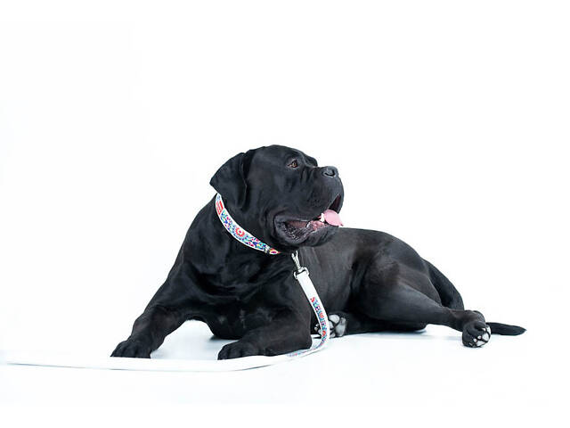 Поводок WAUDOG Design с рисунком 'Лето' (ширина 25 мм, длина 122 см) белый - Фото 3