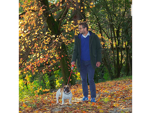 Повідок - рулетка для собак зі шнуром Ferplast Amigo Cord (Ферпласт Амиго Корд) 15 x 3.6 x h 14 cм - M, Червоний - Фото 3