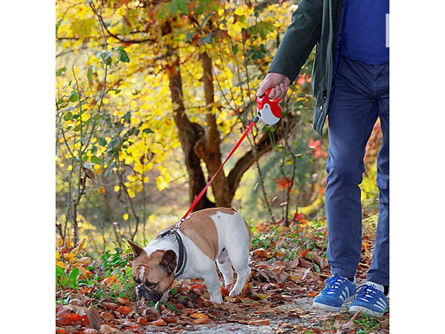 Повідок - рулетка для собак зі шнуром Ferplast Amigo Cord (Ферпласт Амиго Корд) 15 x 3.6 x h 14 cм - M, Червоний - Фото 4
