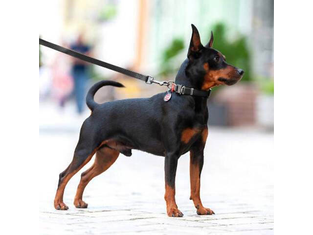 Повідок для собак WAUDOG Waterproof S Ш 15 мм Д 305 см чорний (27381) - Фото 3