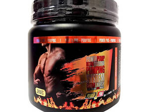 Power Pump (500 g, дюшес)