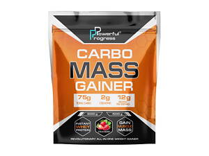 Powerful Progress Carbo Mass Gainer 4 kg